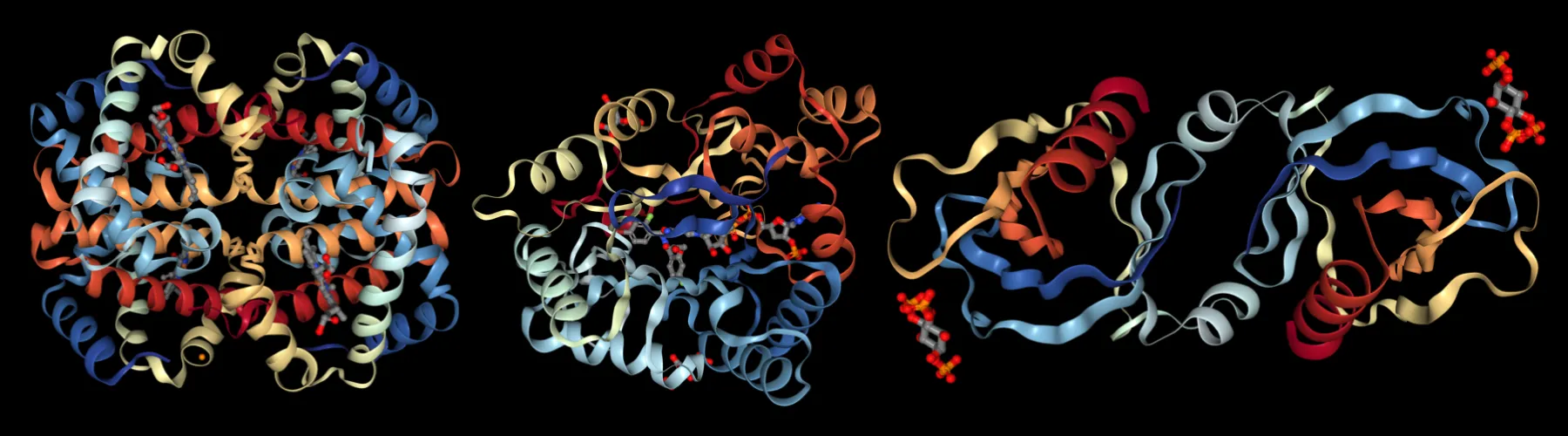 Banner image of proteins