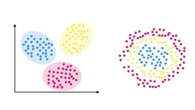 transcriptomic_and_spatial_big