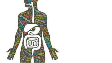 Mineral nutrition and metabolism