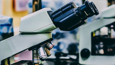 Skin Inflammation Genetics Group