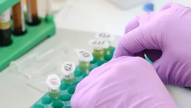 scientist