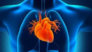cardiac