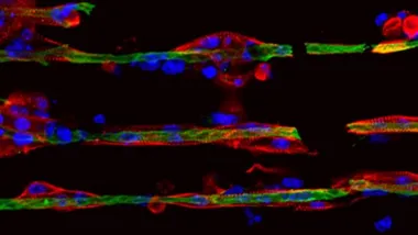 Stroud lab thumbnail