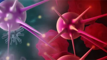 Cancer Biology and Imaging Group