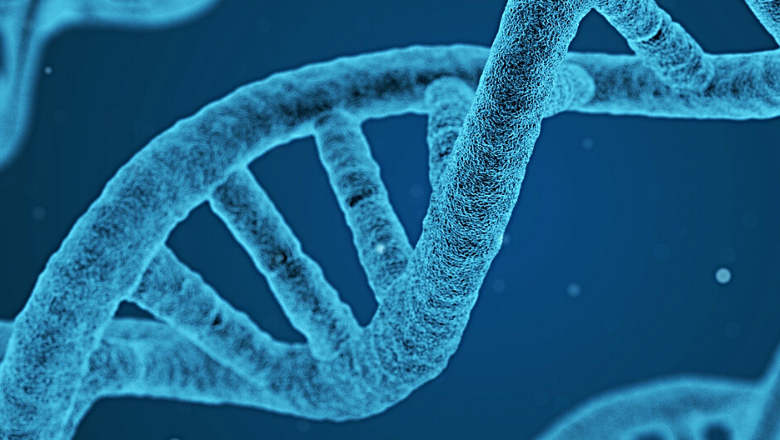 Cancer Bioinformatics