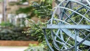 Grants, Funding & Fellowships