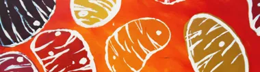Malik banner