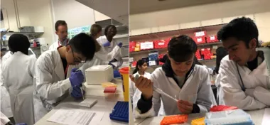 Students doing research