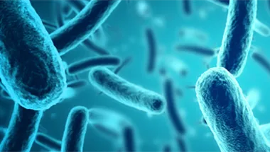 Light blue image of various gut microbiome in liquid