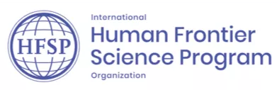 Human frontier logo