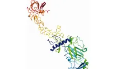 Ferro lab project 2