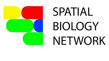Spatial Biology Network logo smaller