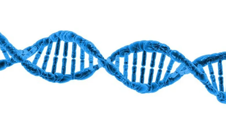DNA helix