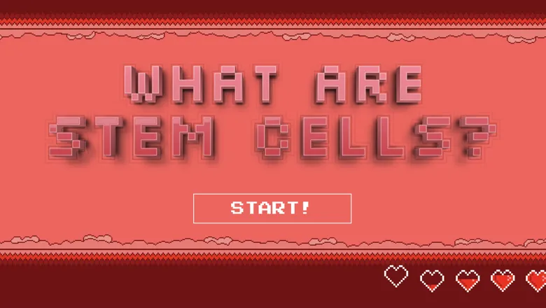 CSCRM stem cells game