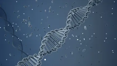 DNA helix main