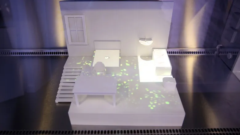 Stem Cell Hotel
