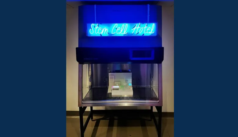 Stem cell hotel