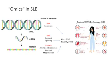 Omics in SLE