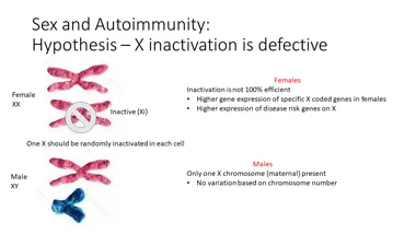 Sex and autoimmunity