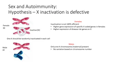 Sex and autoimmunity