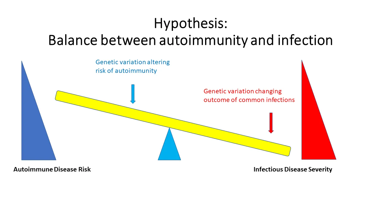 Infection autoimmunity
