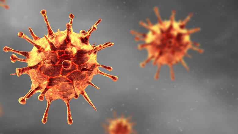 A magnified image of the Covid-19 virus