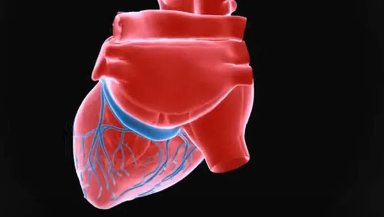 Learn how computers are shaping the future of cardiovascular healthcare