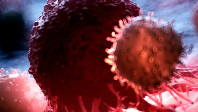 cancer cells