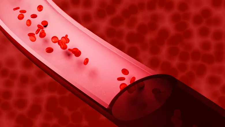 Blood cells web image