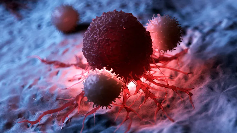 tumour cancer-immune system 780x450