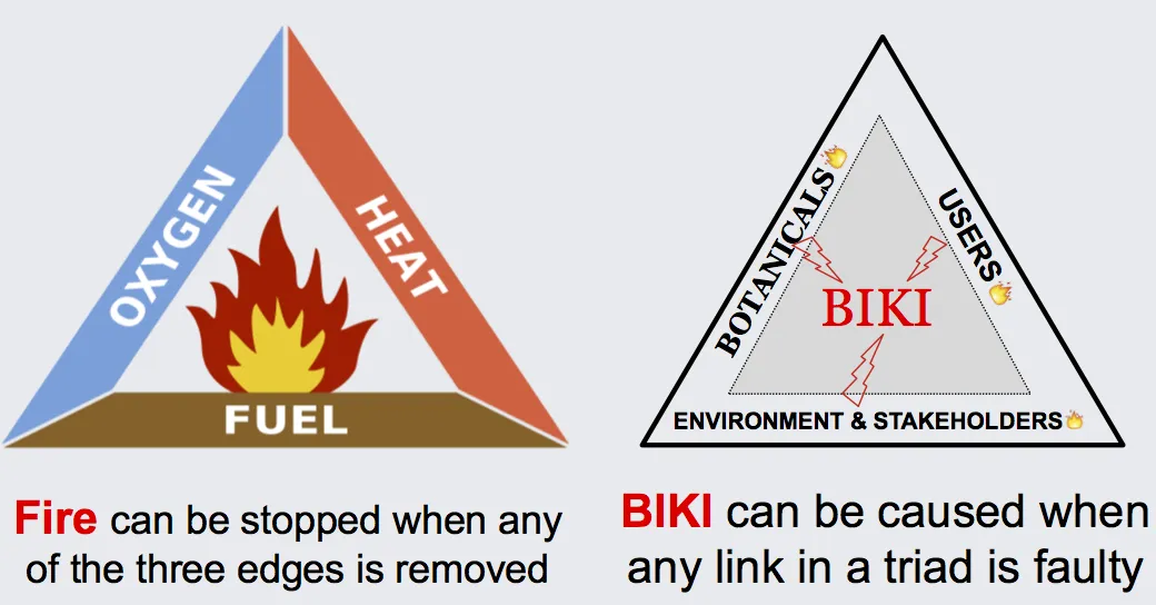 Diagram of the relationship between BIKI and fire