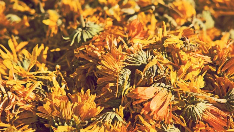 botanicals
