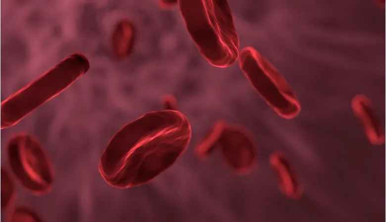 blood cells