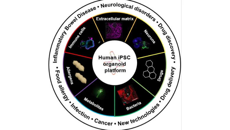 An interdisciplinary group of researchers has received funding for a year to establish a platform to facilitate inter- and multidisciplinary disease studies. 