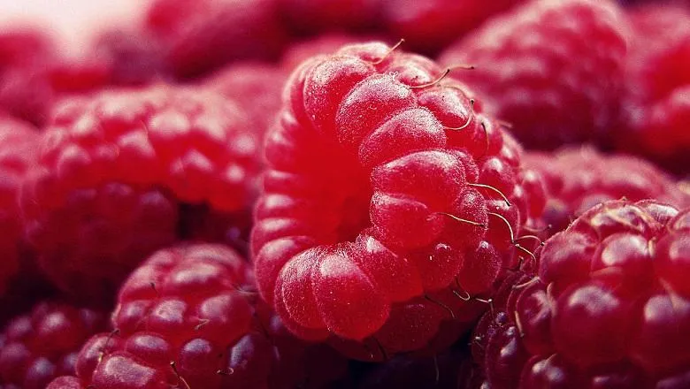 raspberries