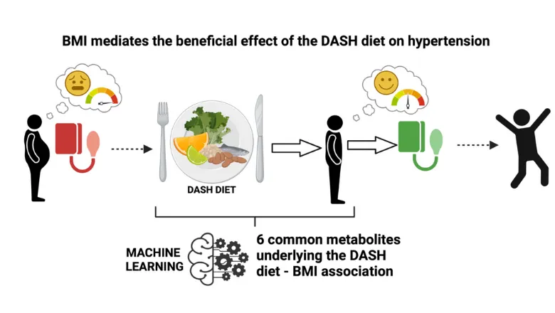 DASH BMI