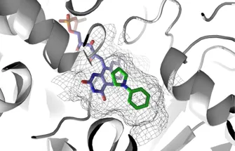 MAO-N biocatalyses the aromatization of 3-pyrrolines into pyrroles 
