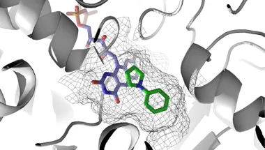 MAO-N biocatalyses the aromatization of 3-pyrrolines into pyrroles