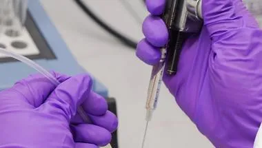 lab