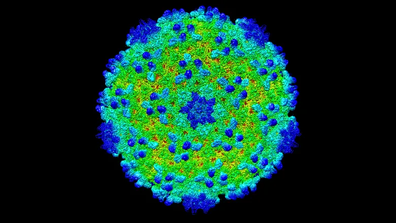 Bacteriophages