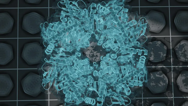 Carboxysome cryoEM 780x450