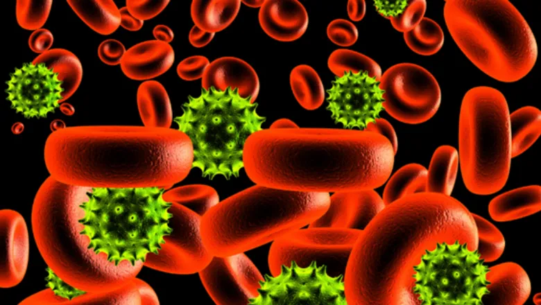 Blood samples COVID-19