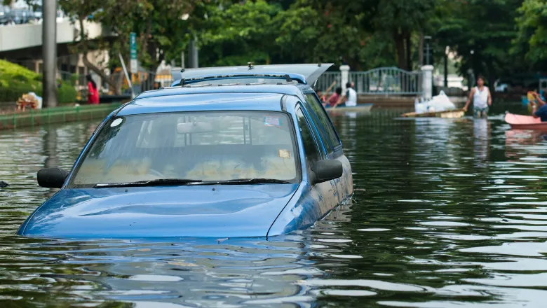 forensics natural disaster and climate change 780x450