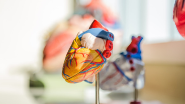 Cardiovascular Research course page
