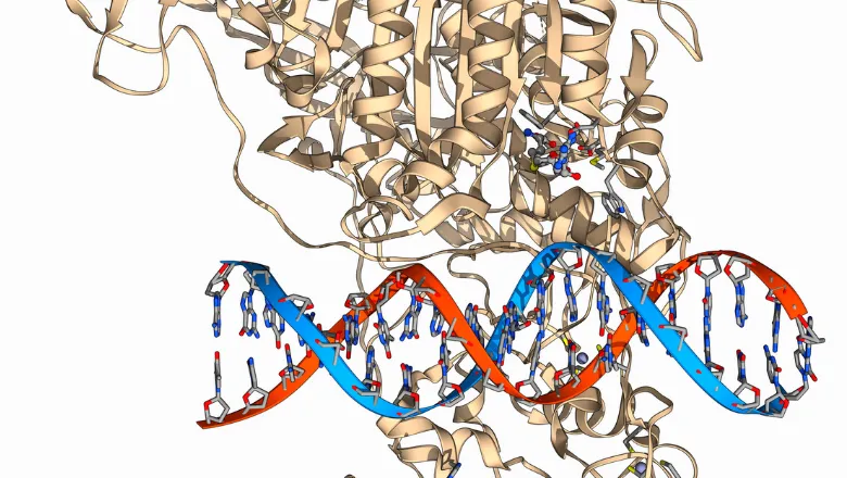 Developmental Epigenetics Group thumbnail