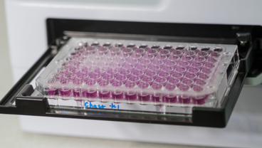 Immunogenetics