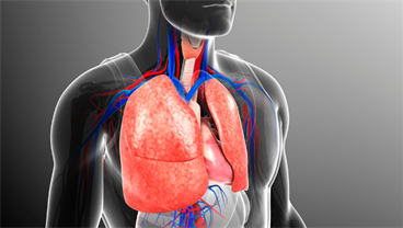 Respiratory Physiology & Medicine