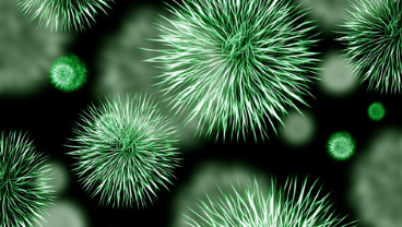 Introduction to Immunology
