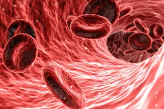 743x496_abstract-blood