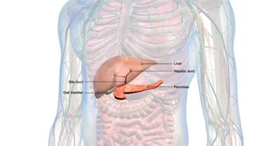 Hepatobiliary Cancer